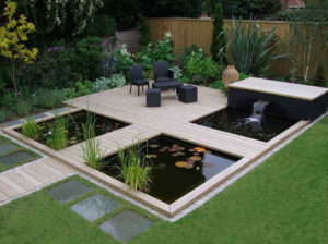 fish pool 4.original