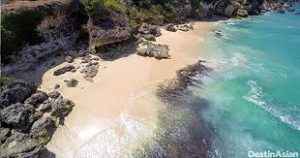 images 8