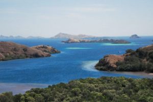 taman nasional komodo ilustrasi 120924170712 591