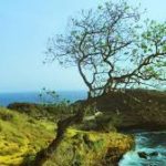 Pantai Kesirat