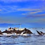 Pantai Lovina