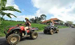 Desa Wisata Bongkasa Pertiwi