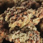 Peyek dan Geplak Mbok Tumpuk