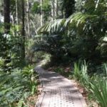 Taman Hutan Raya