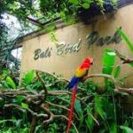 Bali Bird Park