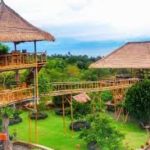 Rumah Pohon Desa Batu Dawa