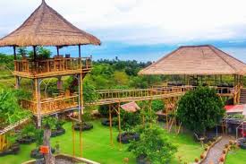 Rumah Pohon Desa Batu Dawa