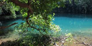 Pesona Taman Nasional Laiwangi Wanggameti di NTT