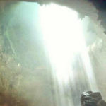 Hutan Purba di Dasar Goa Jomblang