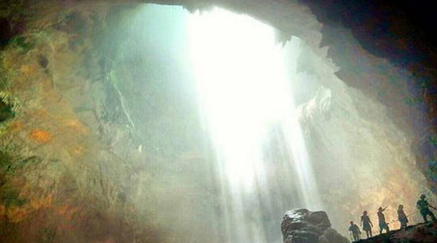 Hutan Purba di Dasar Goa Jomblang