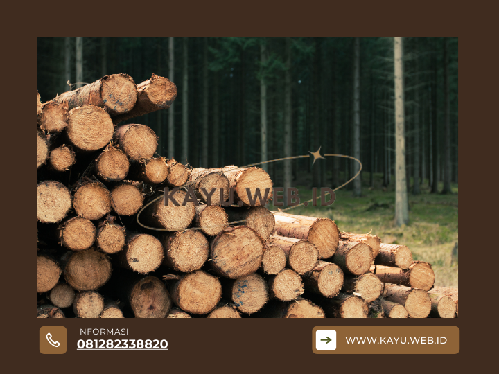 Jual Kayu Terlengkap di Jakarta di Situs Kayu.web.id